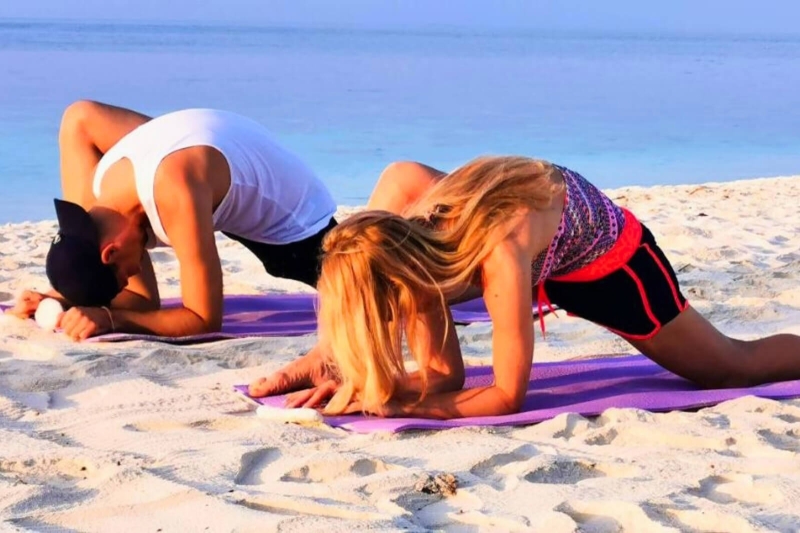 Wellness Seekers